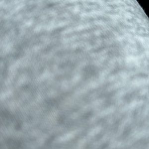 Meet your Posher, Lacey